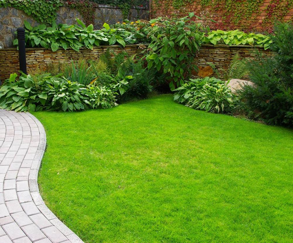 jardin