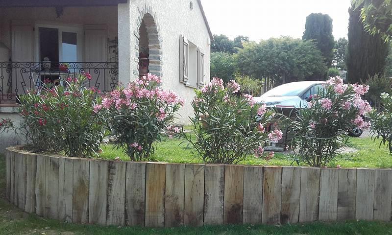 plantes
